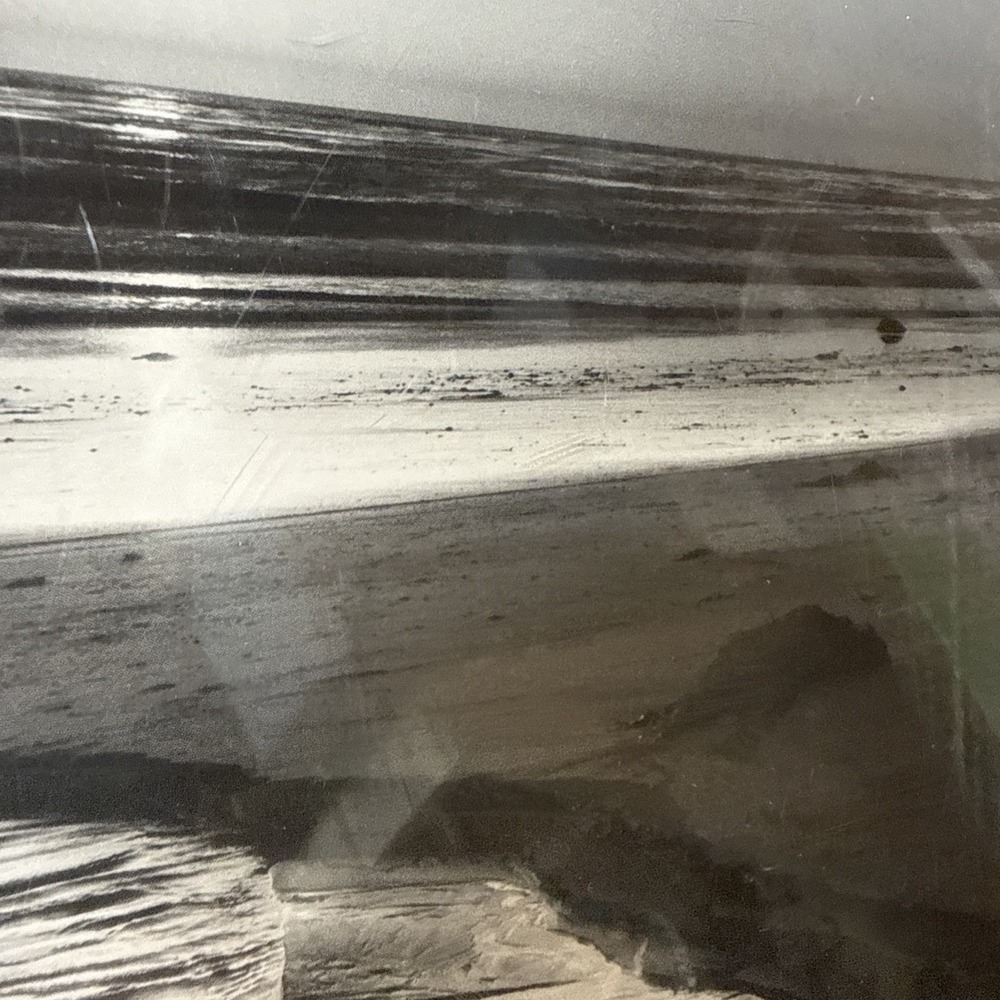 Ansel Adams Birds on a Beach Evening Framed Framed 1966 Photo 12x14 Wall Art VTG - Picture 6 of 15
